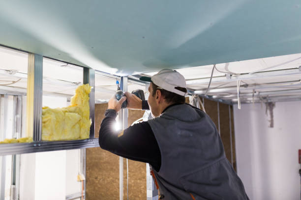 Best Specialized Insulation Services in Antelope, CA