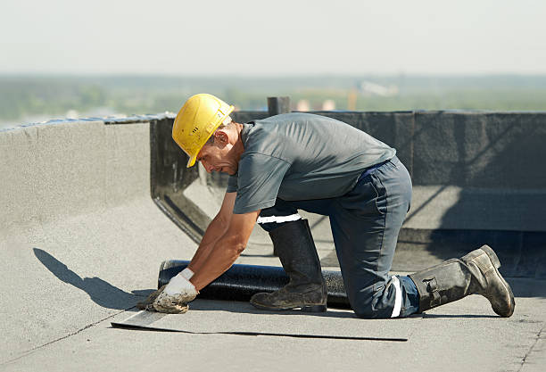 Best Geographic-Specific Insulation Services in Antelope, CA
