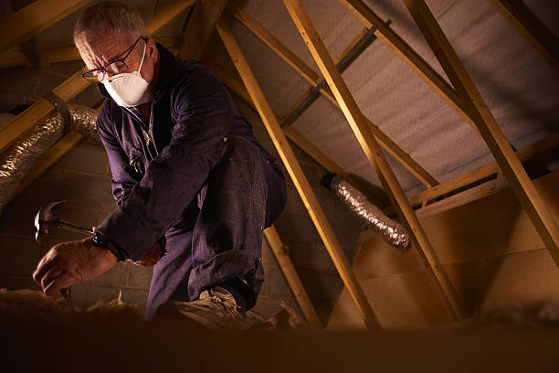 Professional Insulation Contractor in Antelope, CA